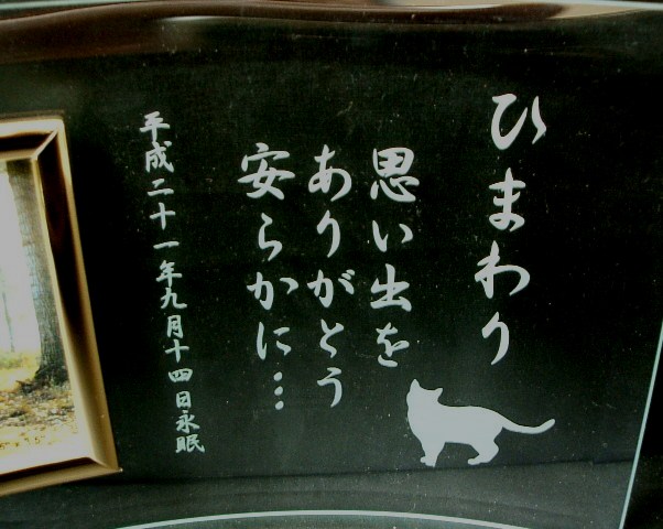 加工内容は通信欄・メール・FAXでご入稿ください