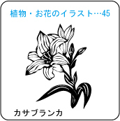 植物・お花のイラスト…45