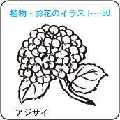 植物・お花のイラスト…50