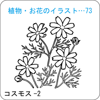 植物・お花のイラスト…73